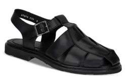 Iberis 164612-00