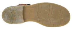 Iberis 164602-21